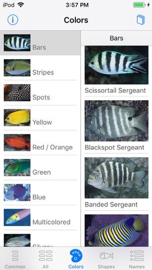 Tetiaroa Fish Guide(圖4)-速報App