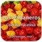 Los Habaneros, Restaurante de comida yucateca en Cuernavaca Morelos