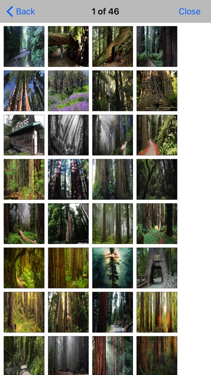 Redwood In- National Park screenshot-4