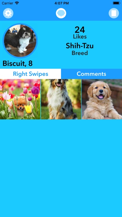 Fetch - Social Media For Dogs screenshot 2