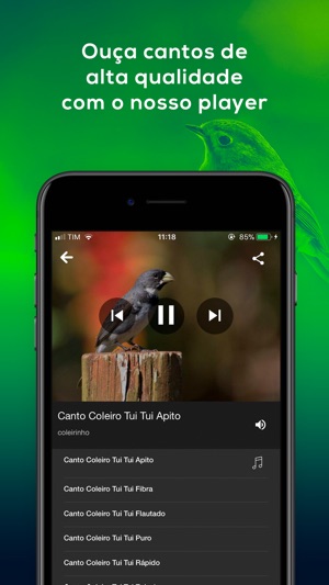 Cantos das Aves -Sons Pássaros(圖5)-速報App