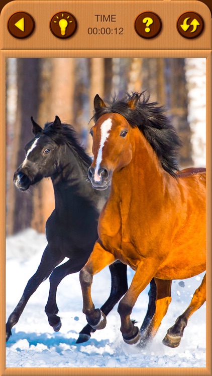 Horses Jigsaw Puzzles for Kids screenshot-5