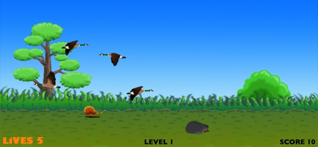 Real Duck Hunting(圖2)-速報App