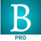 Icon BlinkBook Pro - Book Summary