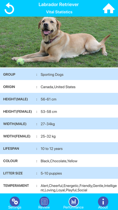 Dog Breeds Guide & Quiz screenshot 3