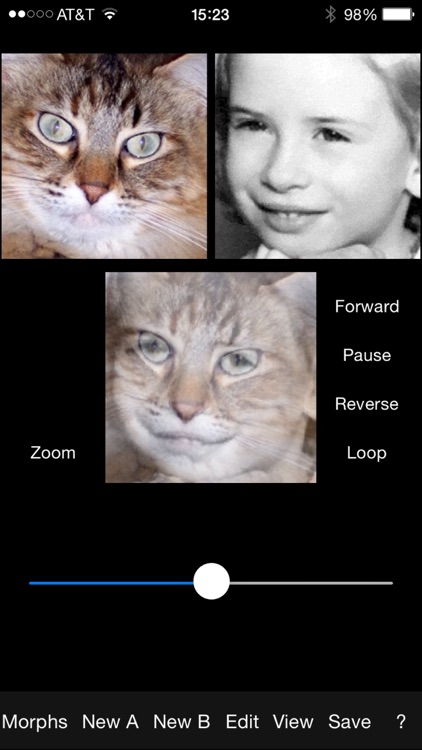 x2yMorph screenshot-3