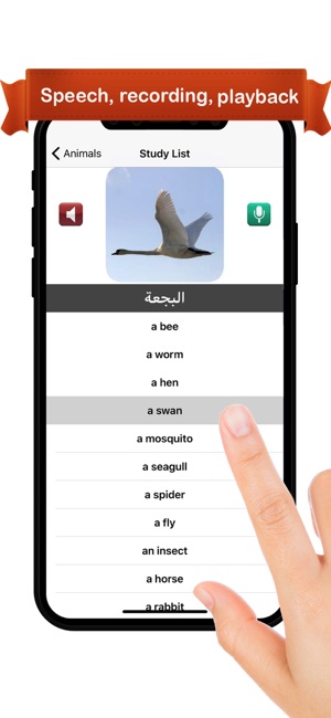 Learn Arabic™(圖2)-速報App