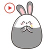 Bunny Stickers Animated