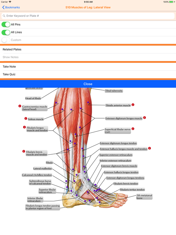 Netter's Anatomy Atlas 7eのおすすめ画像2