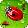 Kill Ants Bug