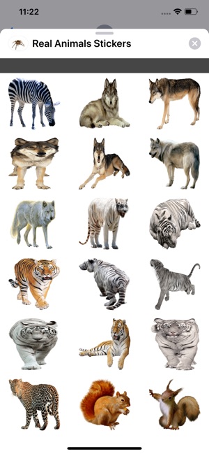 Real Animals Stickers(圖4)-速報App