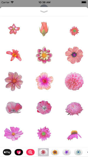 Pink Flower Sticker Pack(圖2)-速報App