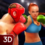 Ninja Boxer Punch Fighting 3D