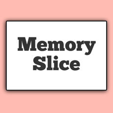 Activities of Memory Slice