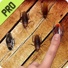 Activities of Best Killer Cockroaches