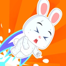 Activities of Bounce Rabbit