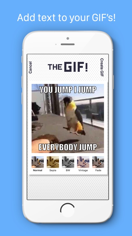 The GIF!