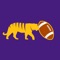 Attention all LSU Tigers Football Fans