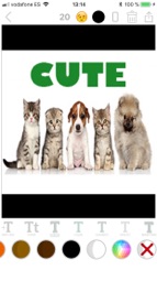 Write on photos add text Captura de tela 6