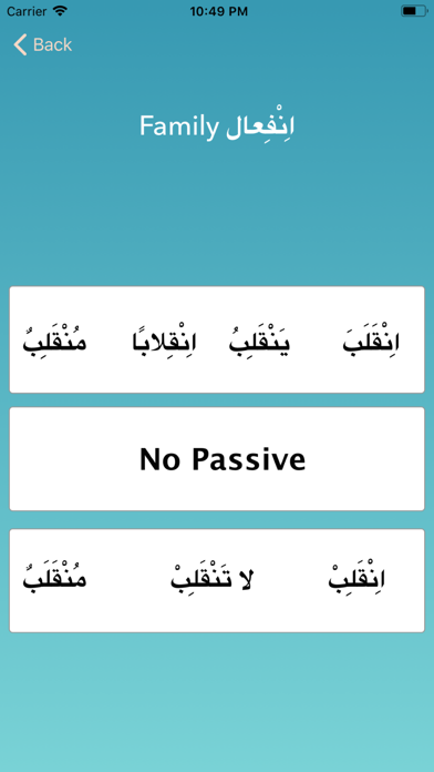 Arabic Grammar screenshot 2