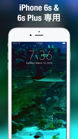 ロック画面用の水族館ライブ壁紙 をapp Storeで