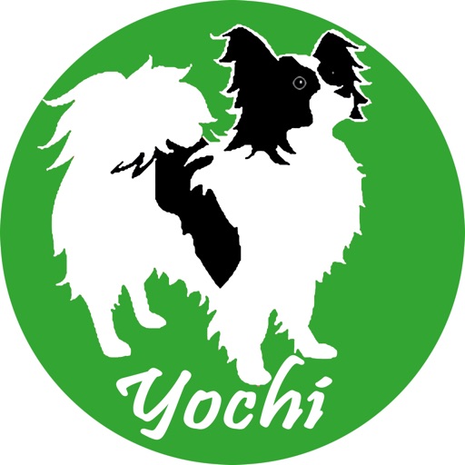 Yochi On Demand Delivery