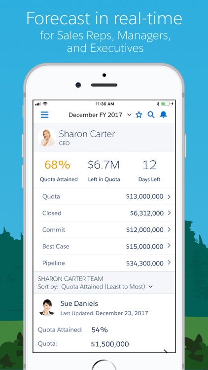 Salesforce screenshot-3