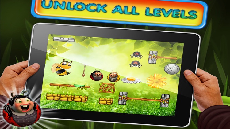 Ladybugs Flying Dreams