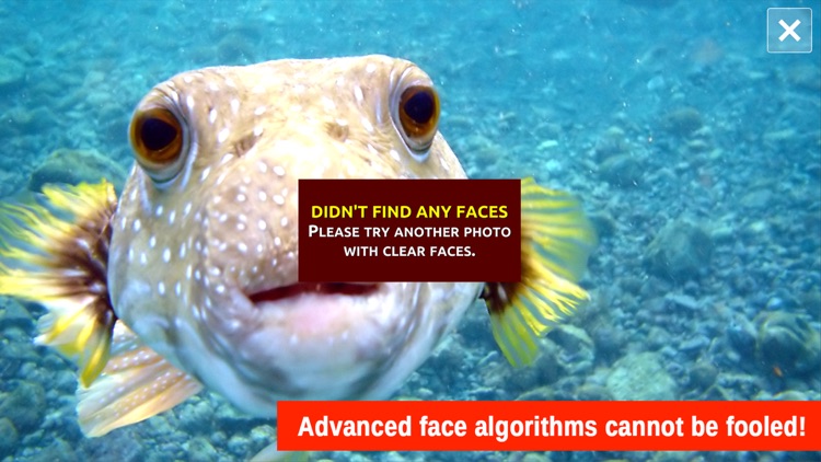 Real Face Age