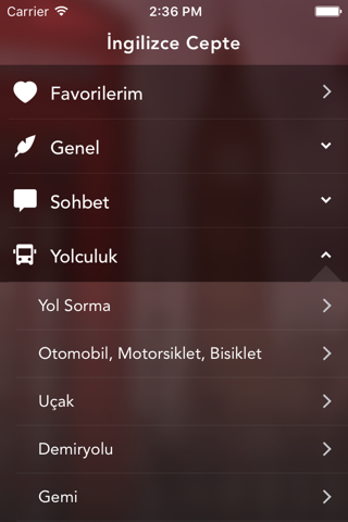 Pratik İngilizce Cepte - náhled