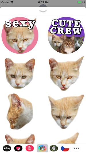 Cat Stickers Meow(圖5)-速報App