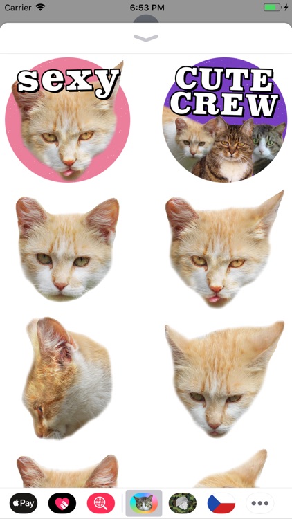 Cat Stickers Meow screenshot-4