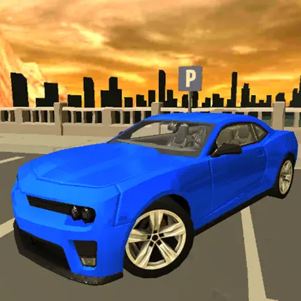 City Car Driving School Cheats