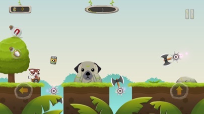 Racing Dog Avoiding Obstacles screenshot 4