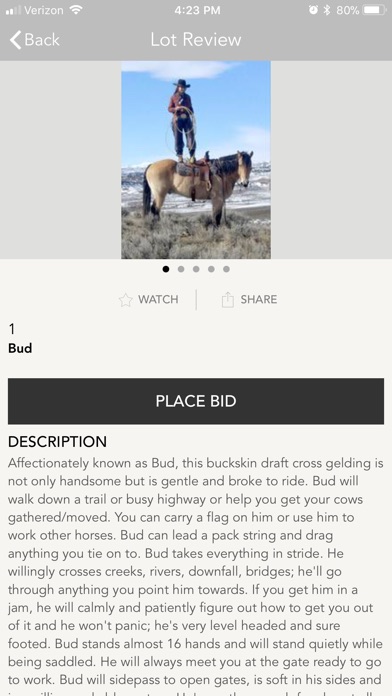 My Equine Auctions screenshot 3