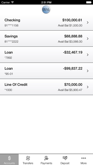 Dial Credit Union screenshot 3