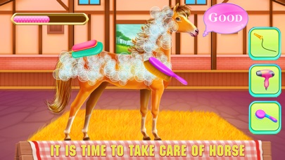 Horse and Unicorn Caring screenshot 4