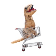 Shopping Cart Crash