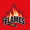 With Flames Kebab and Pizza iPhone App, you can order your favourite garlic bread, special offer, wraps, pizzas, starters, kebabs, burgers ,kids meals, desserts, drinks quickly and easily