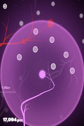 Axon Neuron screenshot 2