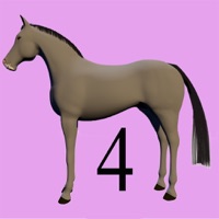 Modello4 pour PC