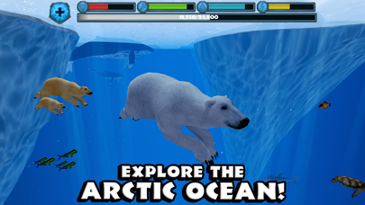 Polar Bear Simulator Screenshot 3