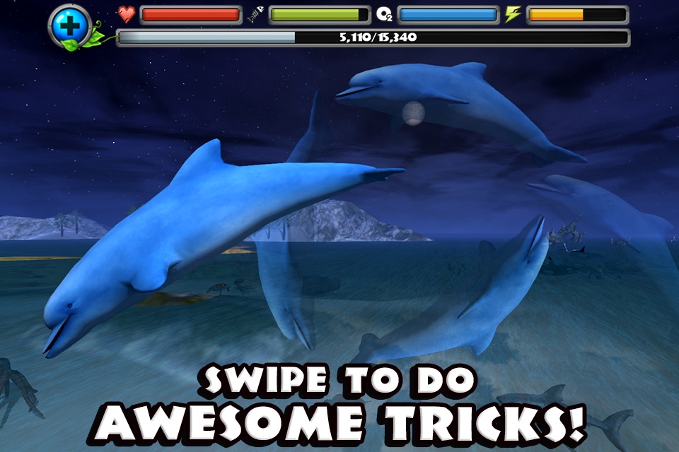 Dolphin Simulator screenshot 3