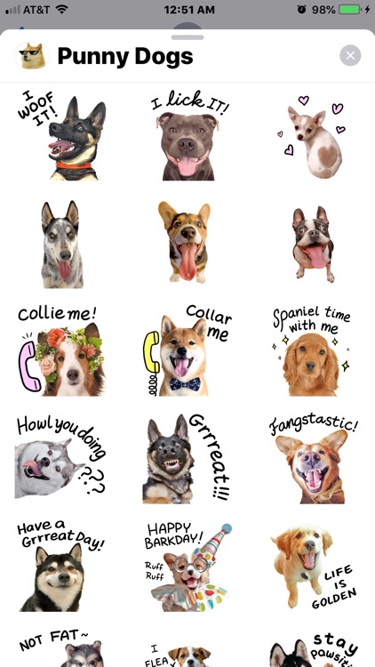 # Punny Dogs Animated Stickers