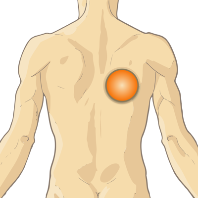 Patient Communicator