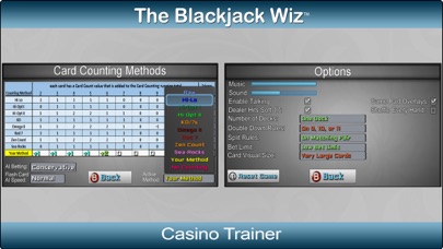 The Blackjack Wiz screenshot 2