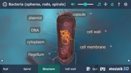 Game screenshot Bacteria 3D apk