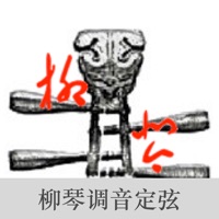 LiuQin Tuner-Tuner for LiuQin