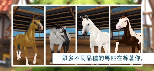 Horse Hotel - 照顧馬匹(圖6)-速報App