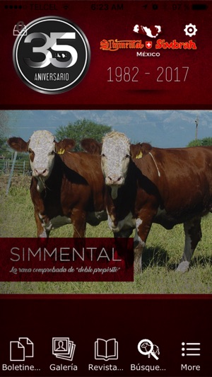 Simmental Simbrah Mexico(圖1)-速報App